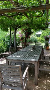 Summer shade under the grape covered pergola